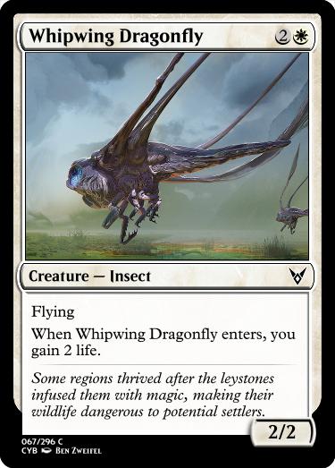 Whipwing Dragonfly