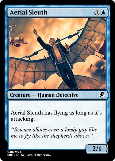 Aerial Sleuth